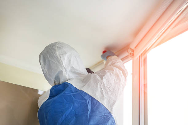 Best Residential Mold Inspection & Testing  in USA